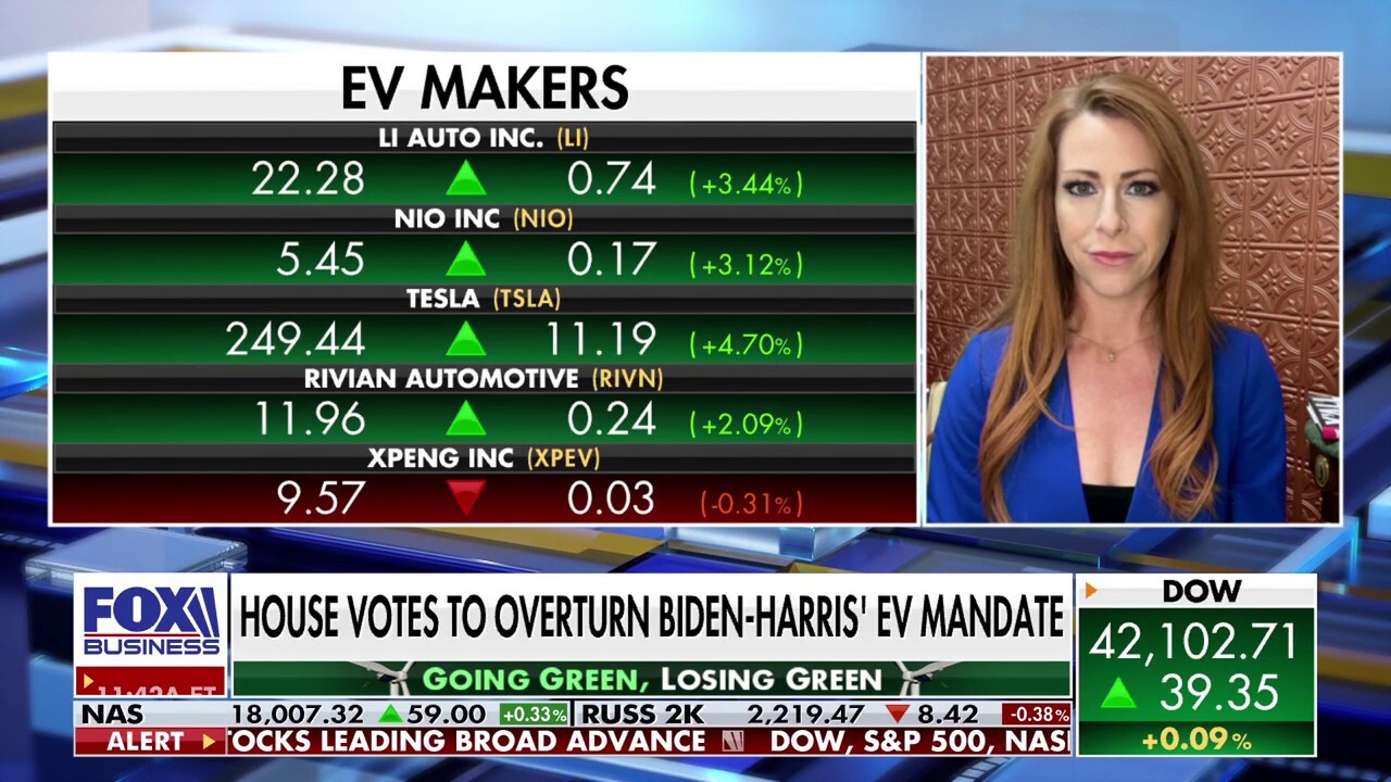 Mandy Gunasekara: There are a lot of basic reasons why consumers don't want the EV mandate 