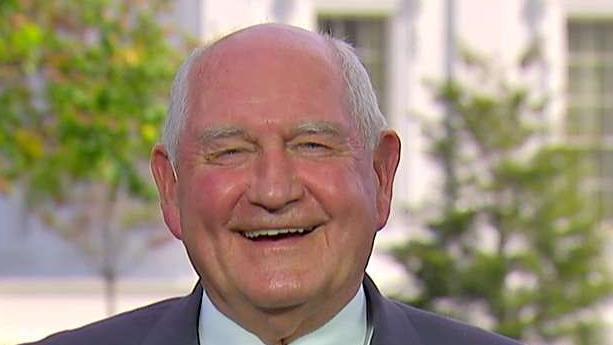 New trade deal is better than NAFTA: Sonny Perdue
