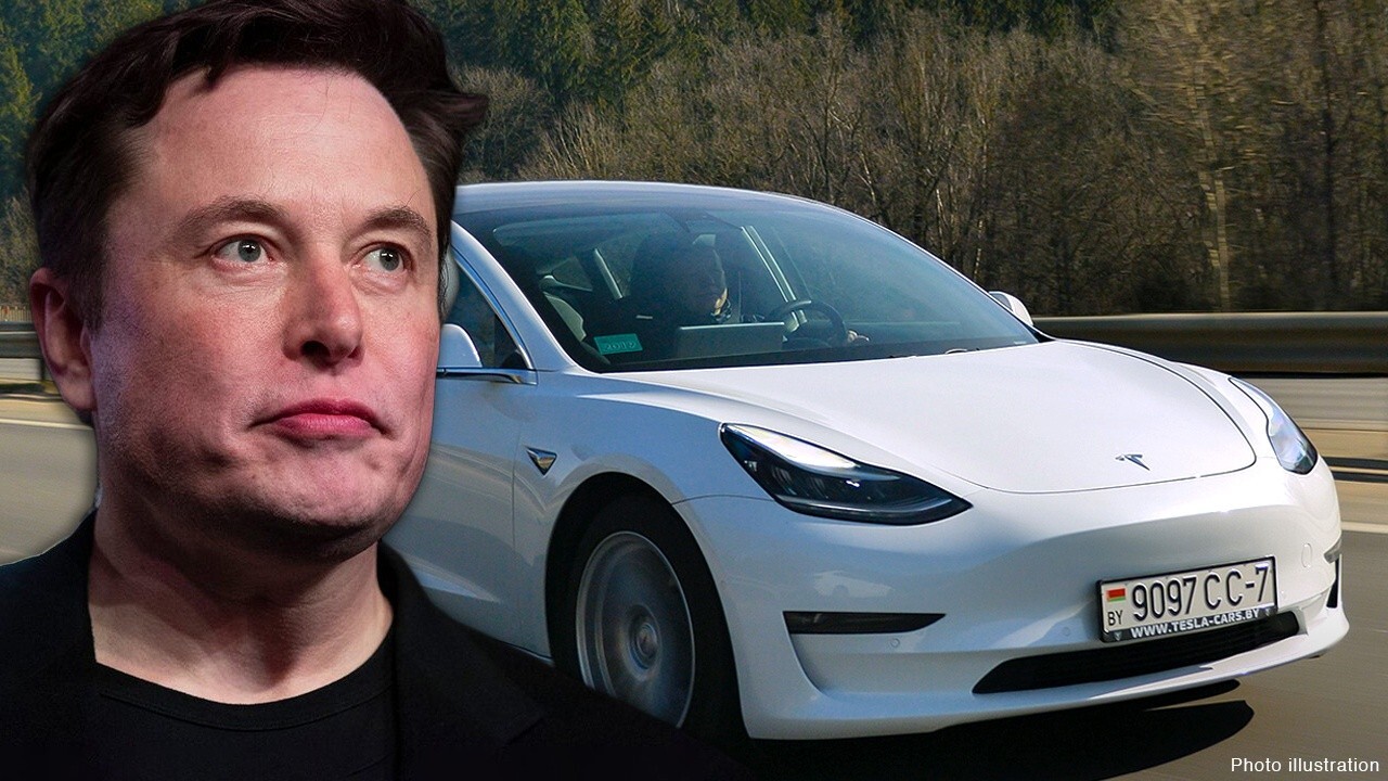 Elon musk tesla shares