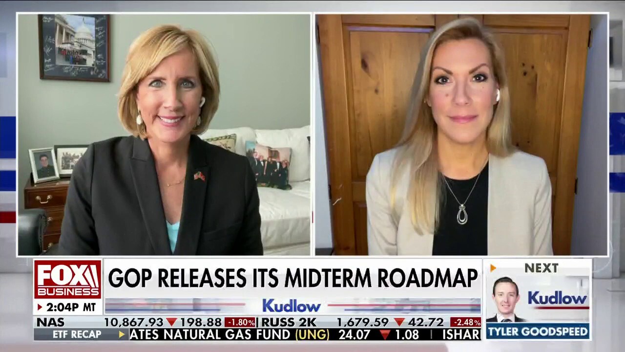  Texas Rep. Republican Beth Van Duyne and New York Republican Rep. Claudia Tenney give their take on the GOP's midterm roadmap on 'Kudlow.'
