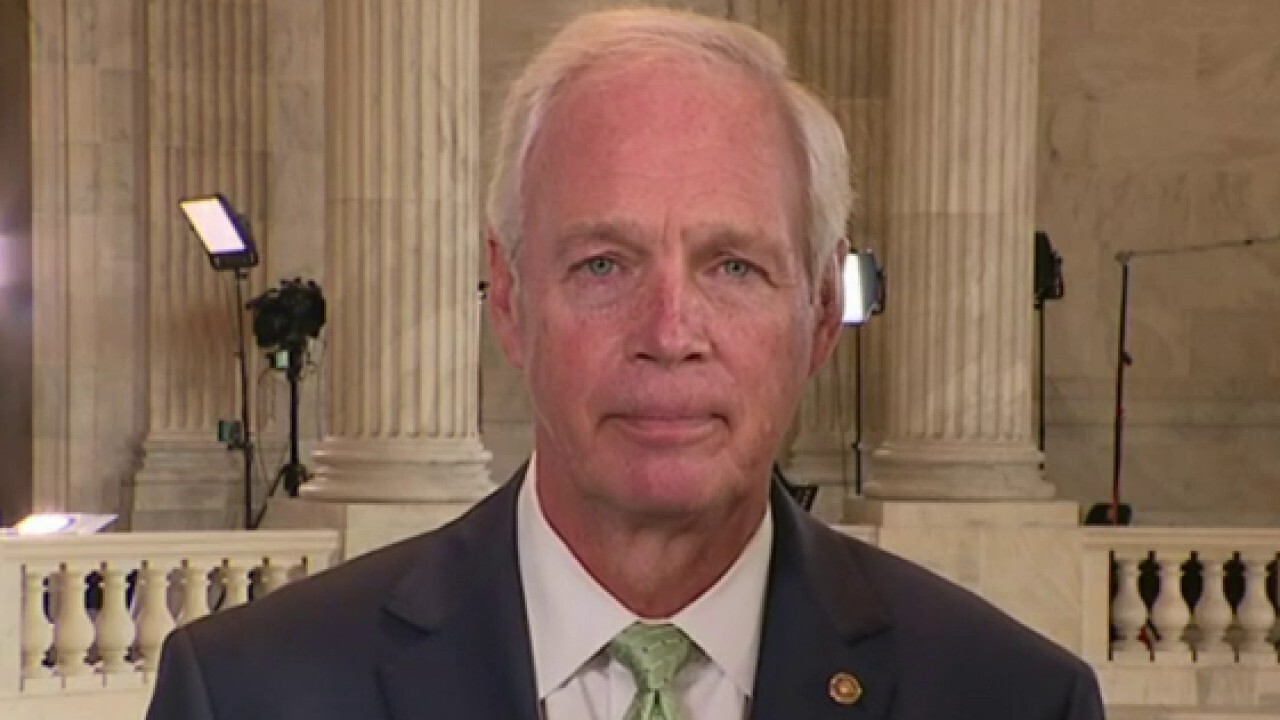 Biden admin has populated government with radical leftists: Sen. Ron Johnson