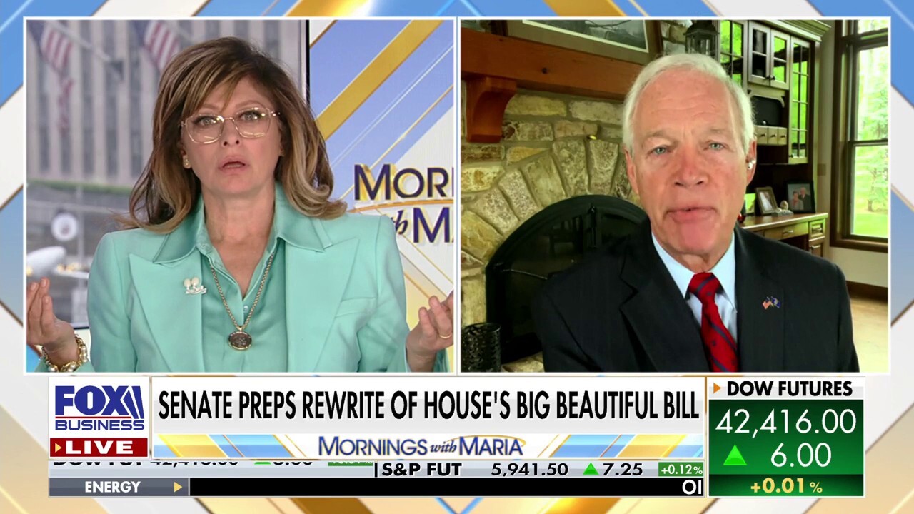 GOP senator goes after Trump’s big bill, warns it is ‘not beautiful’
