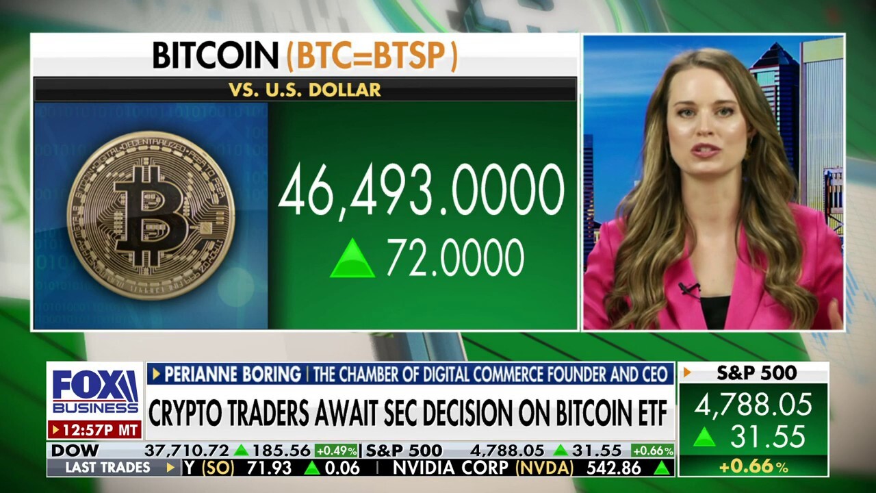 Bitcoin is 'inflation-proof money': Perianne Boring