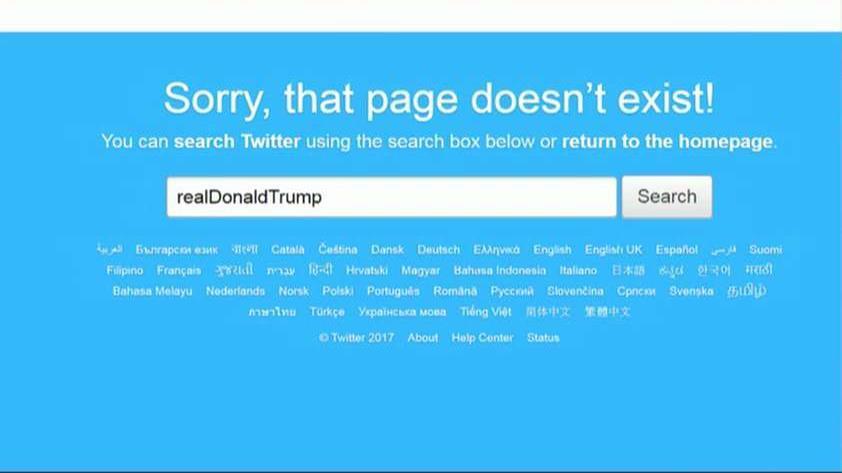 Trump account briefly silenced by rogue Twitter employee