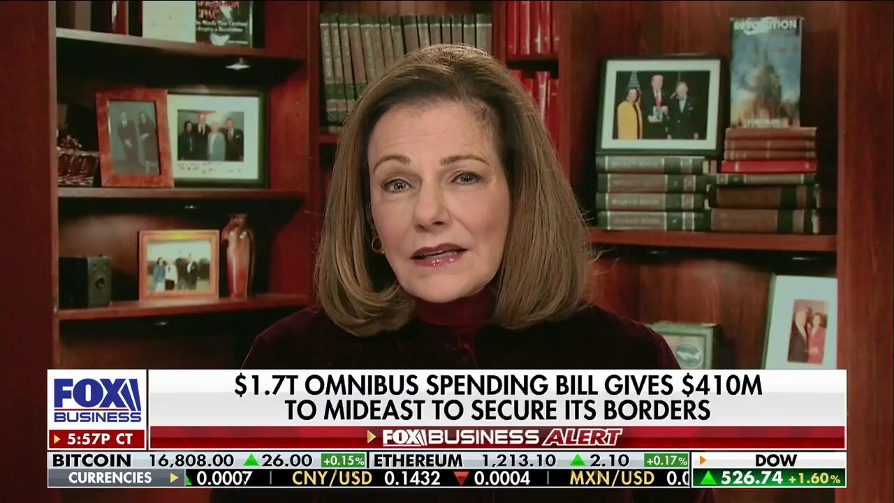 K.T. McFarland: Drug cartels are 'in charge' of the southern border