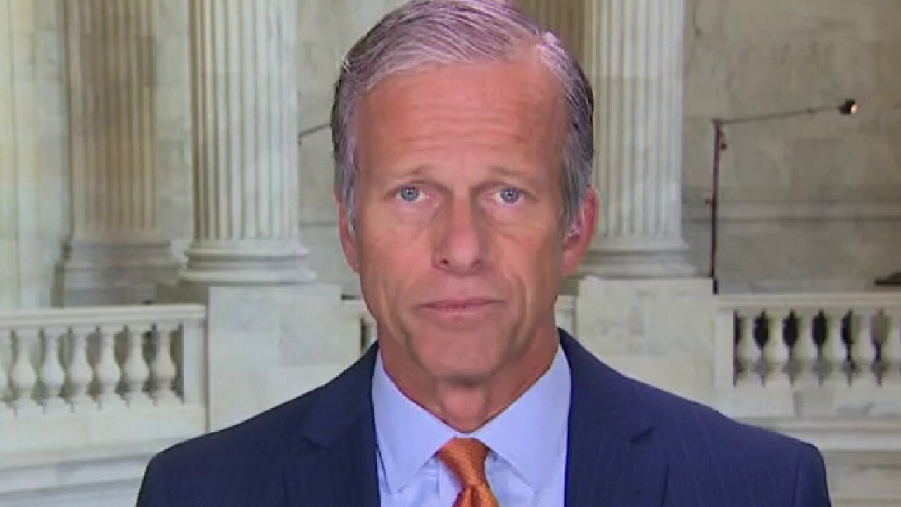 South Dakota Republican Sen. John Thune calls out President Biden's environmental regulations as Americans see high gas prices on 'Kudlow.'