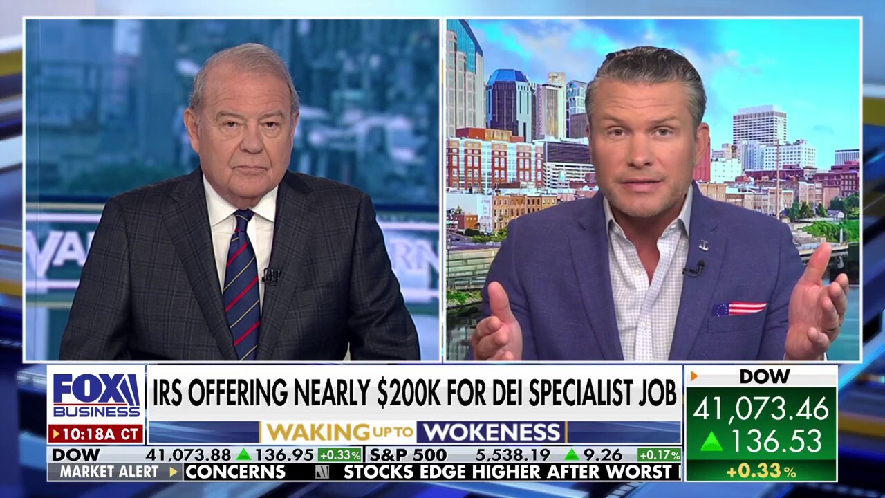 DEI specialists are wrecking US government: Pete Hegseth