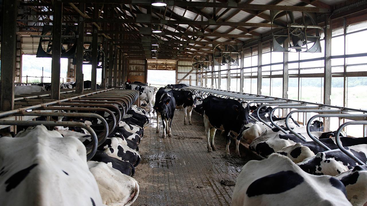 US dairy farmers deeply concerned about exports situation: Tom Vilsack