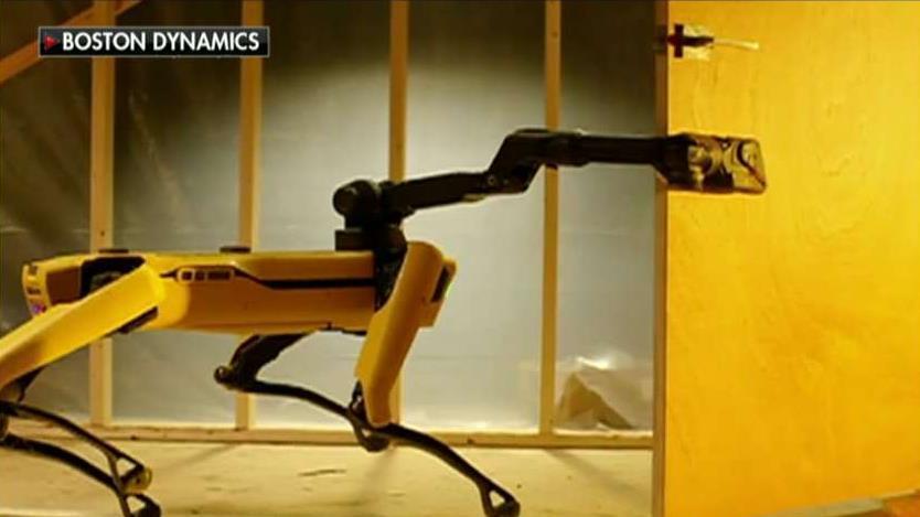 Boston Dynamics' robotic 'Spot' dog available for sale