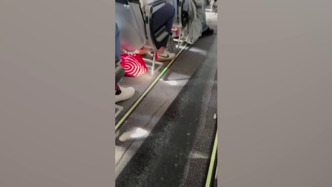 Passengers 'horrified' as liquid leaked down aisle