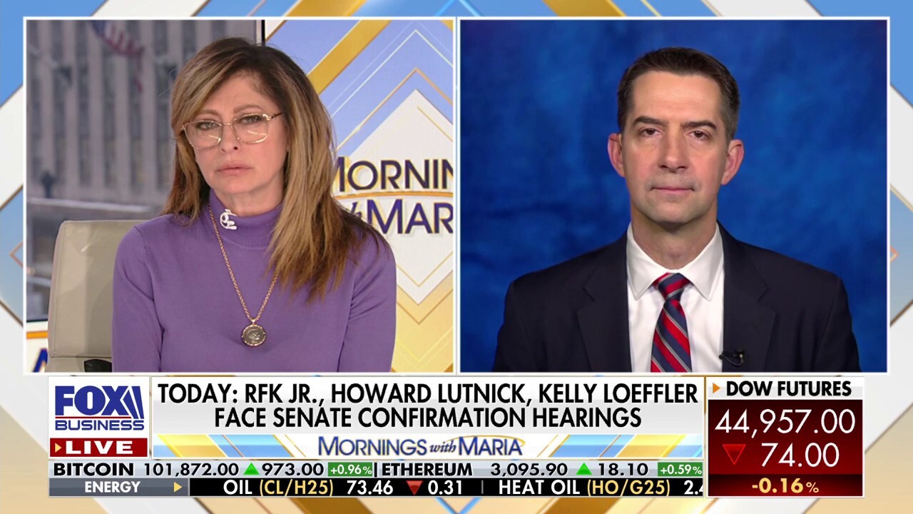 Dems are good at ‘manufacturing’ baseless claims, Sen Tom Cotton says in fiery interview