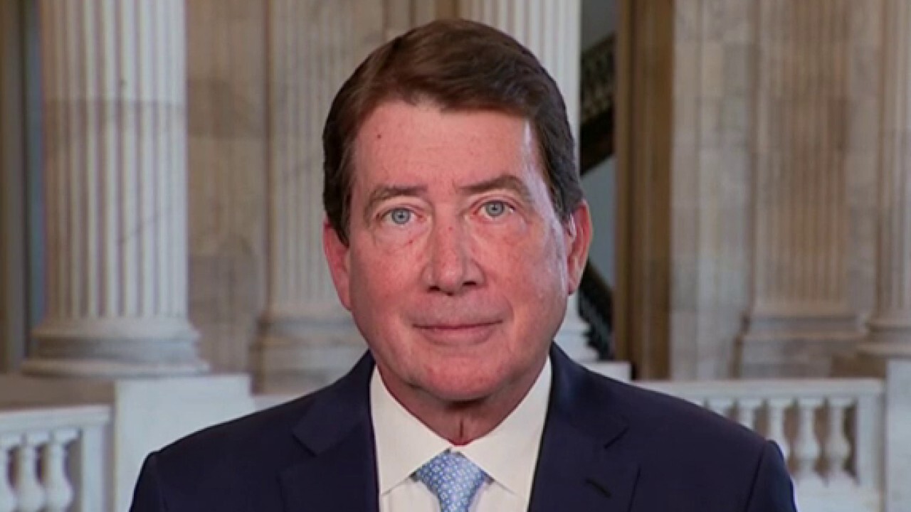 Democrats are protesting Trump's first 100 days because it's been 'impactful': GOP senator