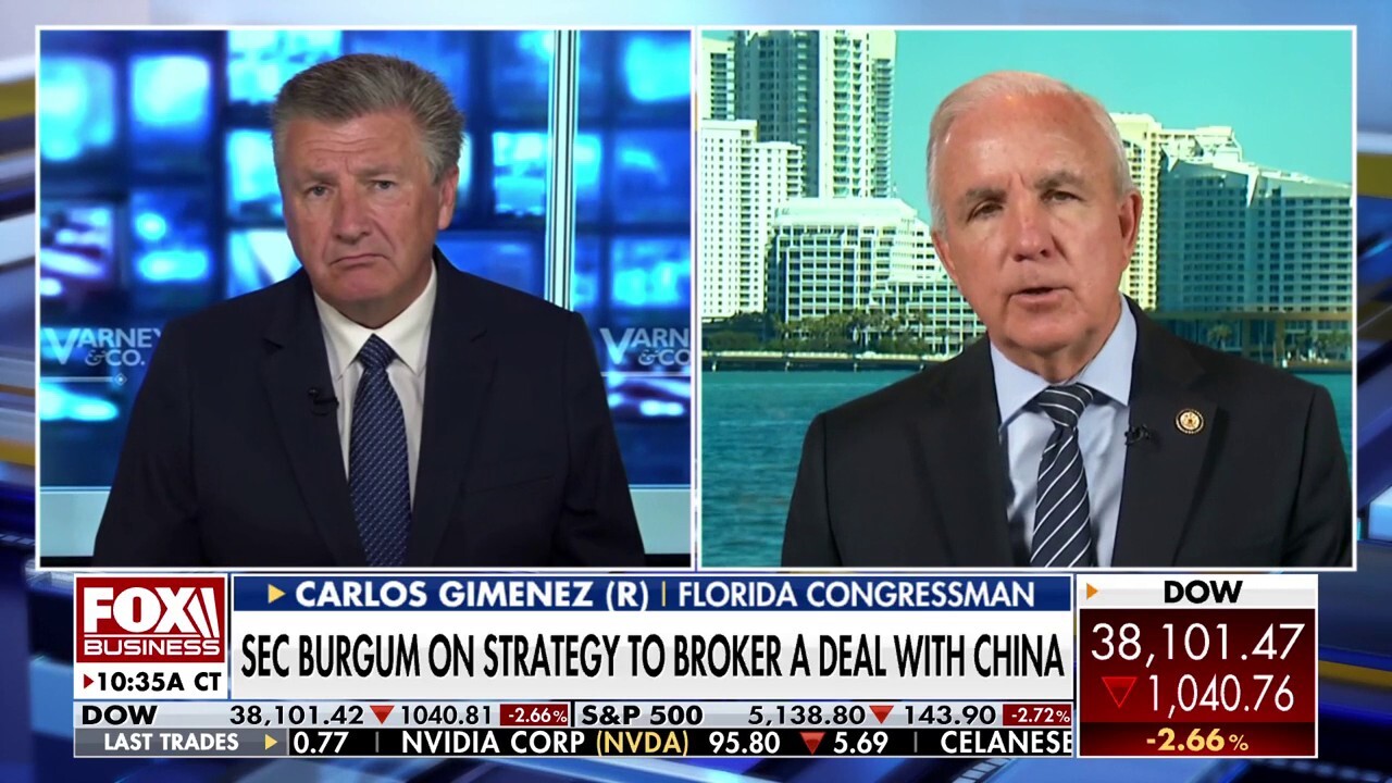 Democrats are 'grasping at straws' to stop Trump deportations, congressman says 