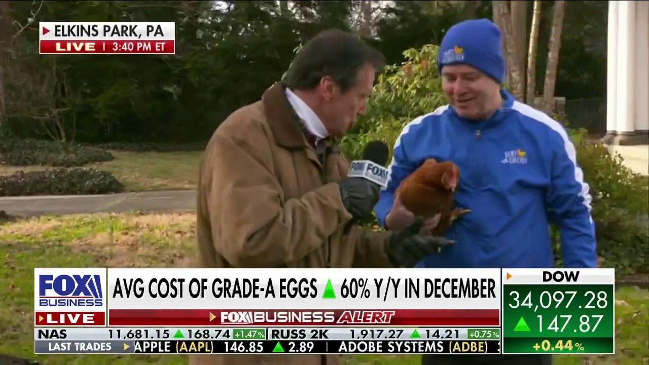 FOX Business' Jeff Flock visits a Pennsylvania farm that rents chickens to customers looking to offset the high cost of eggs on 'The Claman Countdown.'