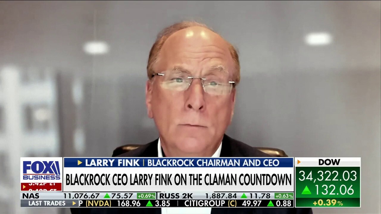 BlackRock chairman and CEO Larry Fink discusses how close the economy is to a recession and how Washington's bickering over the debt ceiling could harm the United States on 'The Claman Countdown.'