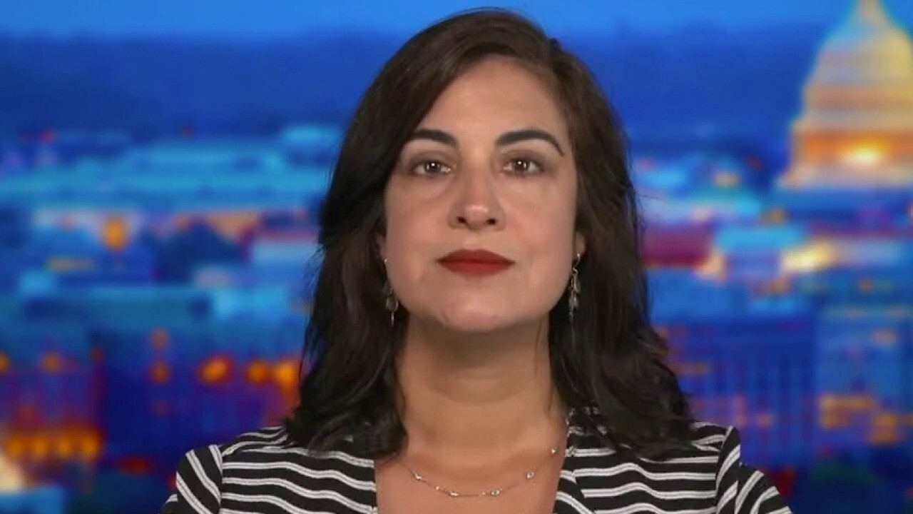 NY Rep. Malliotakis slams Dems for spike in violent crime: 'They created this problem' 