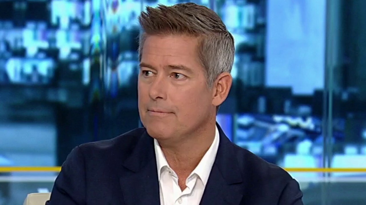Sean Duffy: Trump was a motivating factor for Democrats to get to the polls