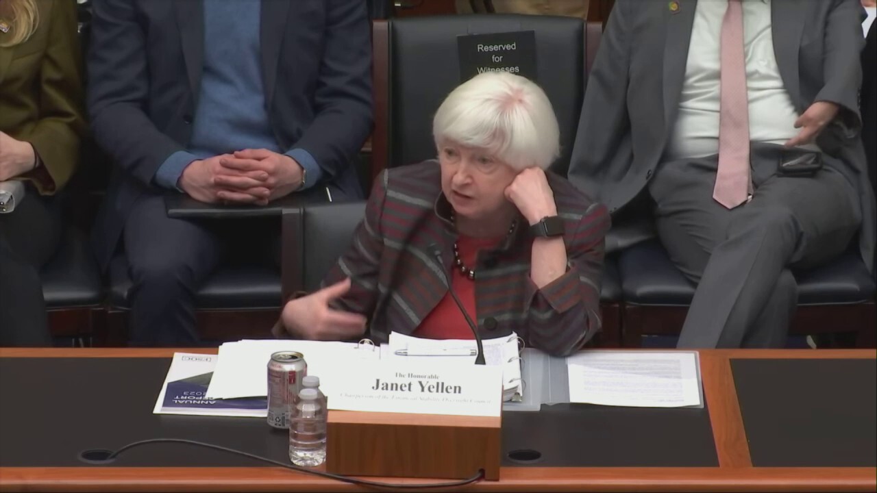 Yellen dodges on whether Treasury Department moved to surveil Americans' legal purchases