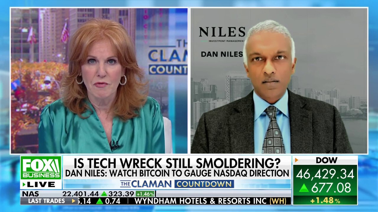 Niles Investment Management founder Dan Niles unpacks the state of the stock market and discusses Bitcoin on 'The Claman Countdown.'