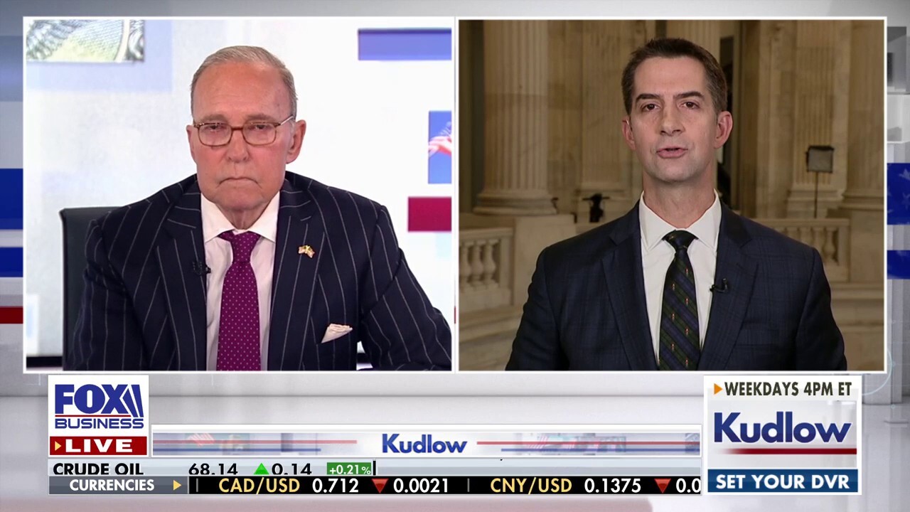 Sen. Tom Cotton, R-Ark., reacts to President-elect Donald Trump's foreign relations plan on 'Kudlow.'