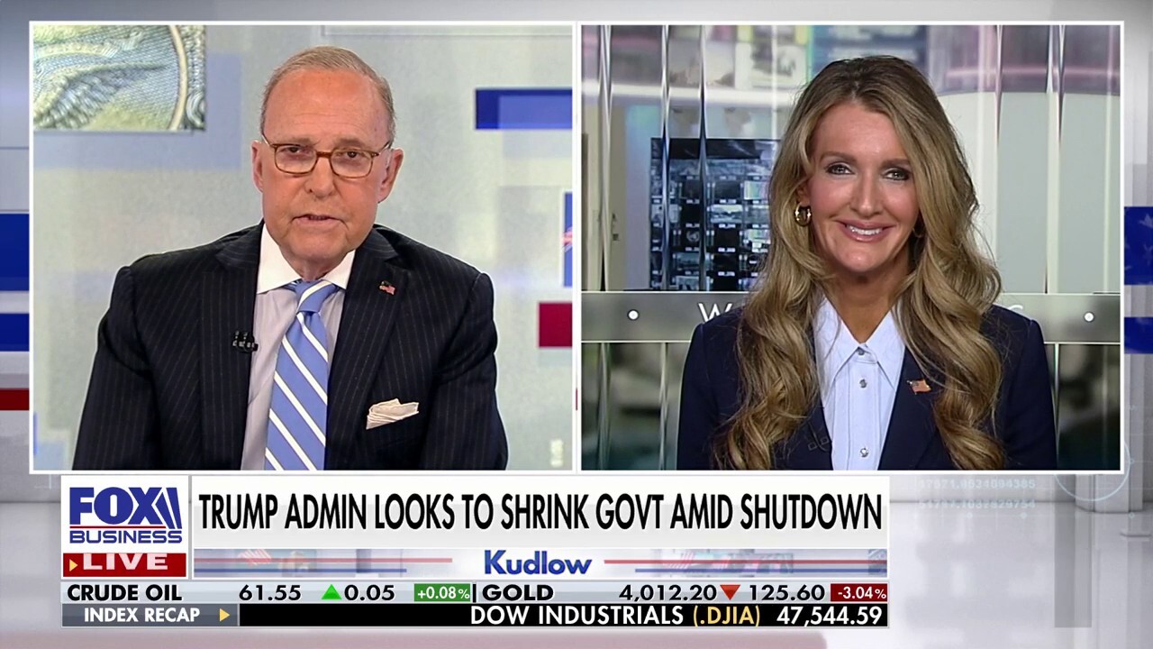 The government shutdown is having the intended effect by the Democrats, SBA administrator says