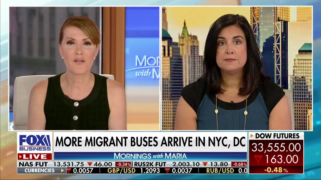 Rep. Malliotakis forges allyship with Lee Zeldin, ramps up calls to combat migrant 'chaos' in New York