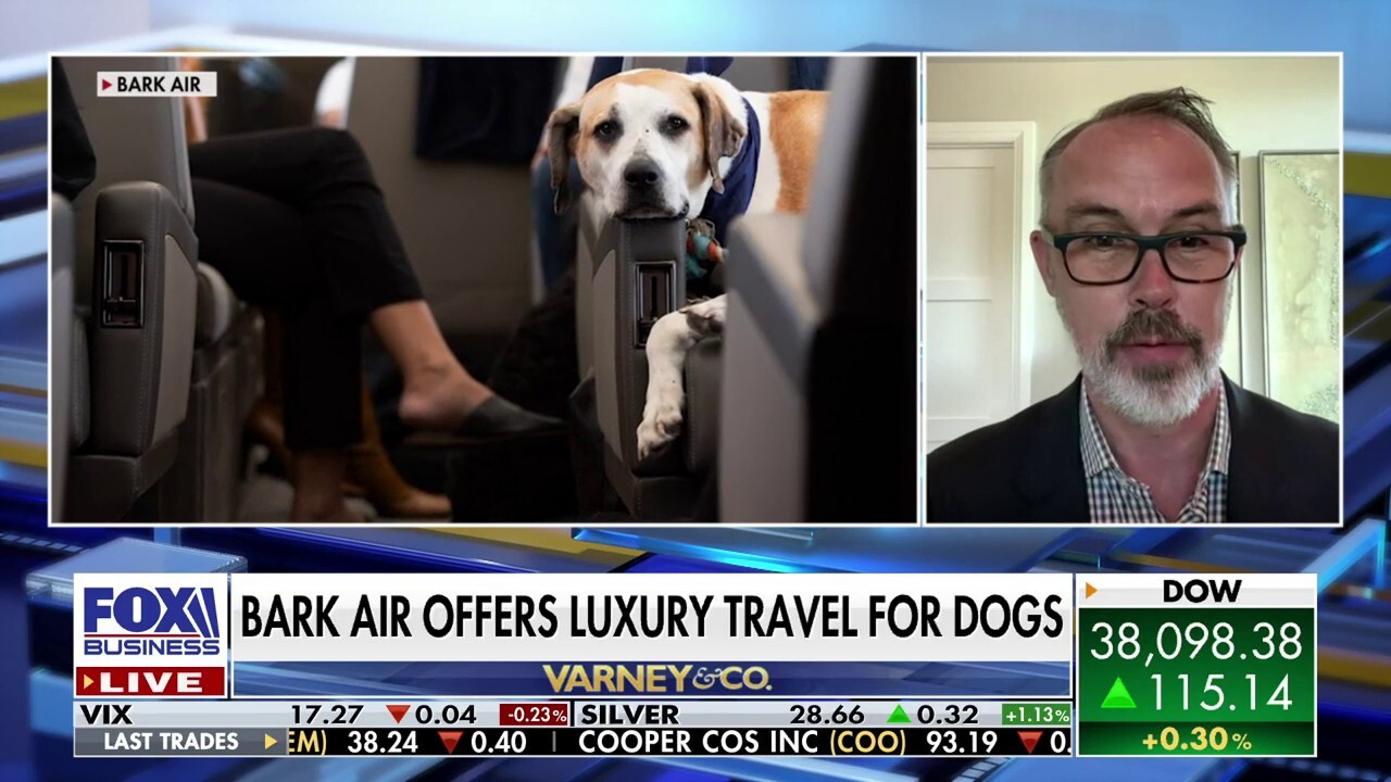 BarkBox CEO Matt Meeker discusses his concept of pet-friendly travel for dogs on 'Varney & Co.'