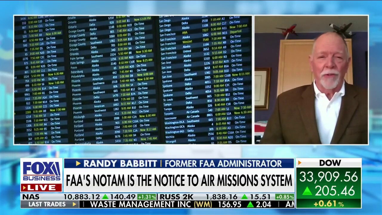 Former FAA administrator Randy Babbitt discusses the integrity of the air traffic control system after thousands of U.S. flights were grounded due to a system failure on 'The Claman Countdown.'