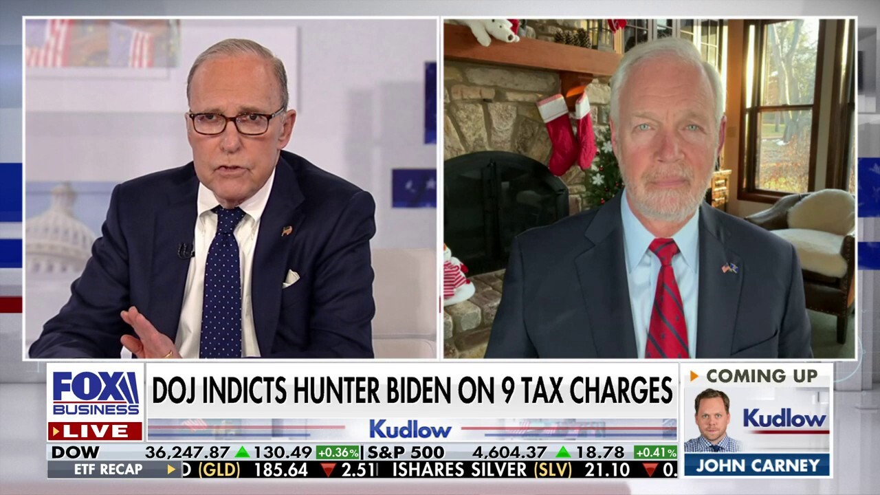 Ron Johnson: Indictments against Hunter Biden should've been brought years ago