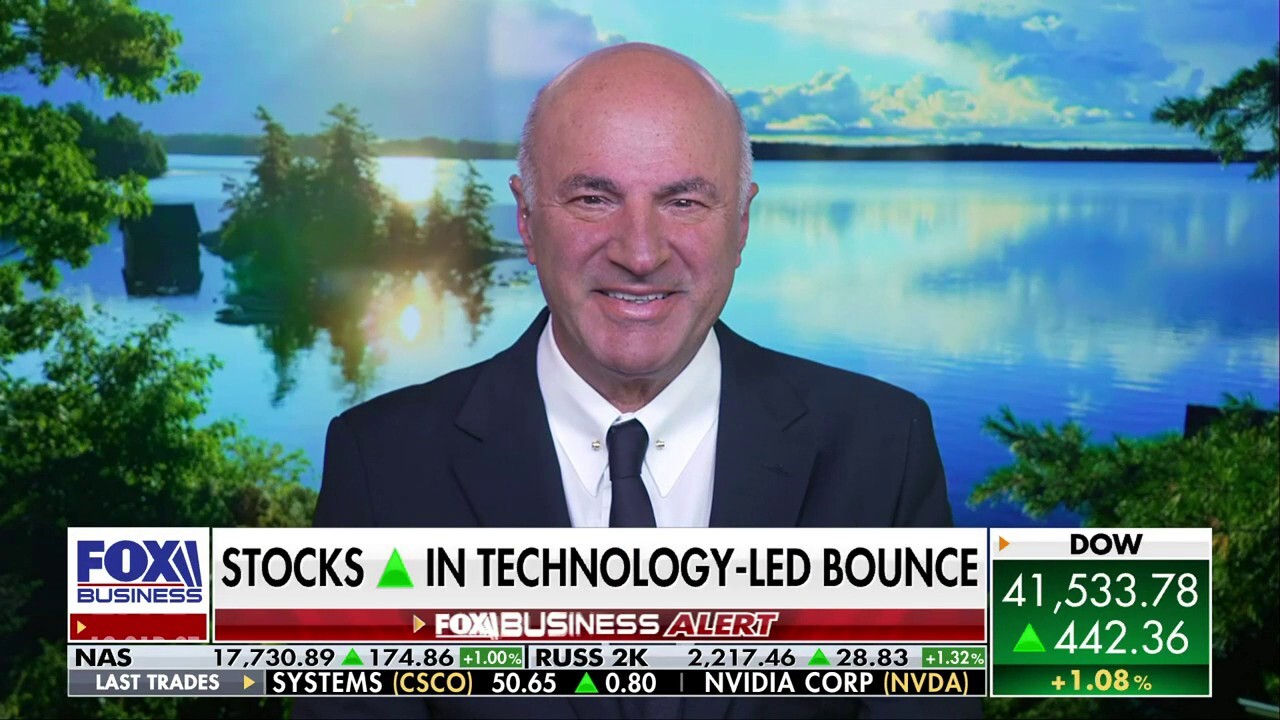 AI is here to stay: Kevin O'Leary