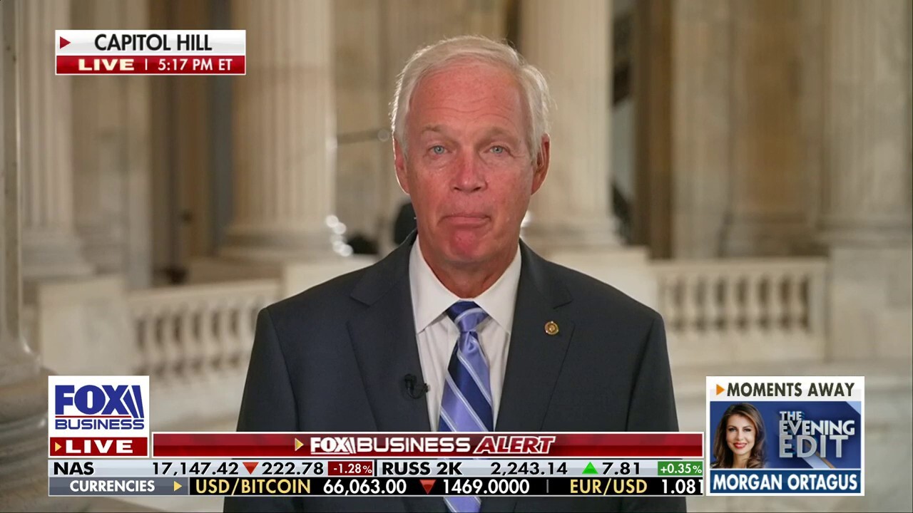 Biden thinks radical SCOTUS changes will help Dems win: Sen. Ron Johnson