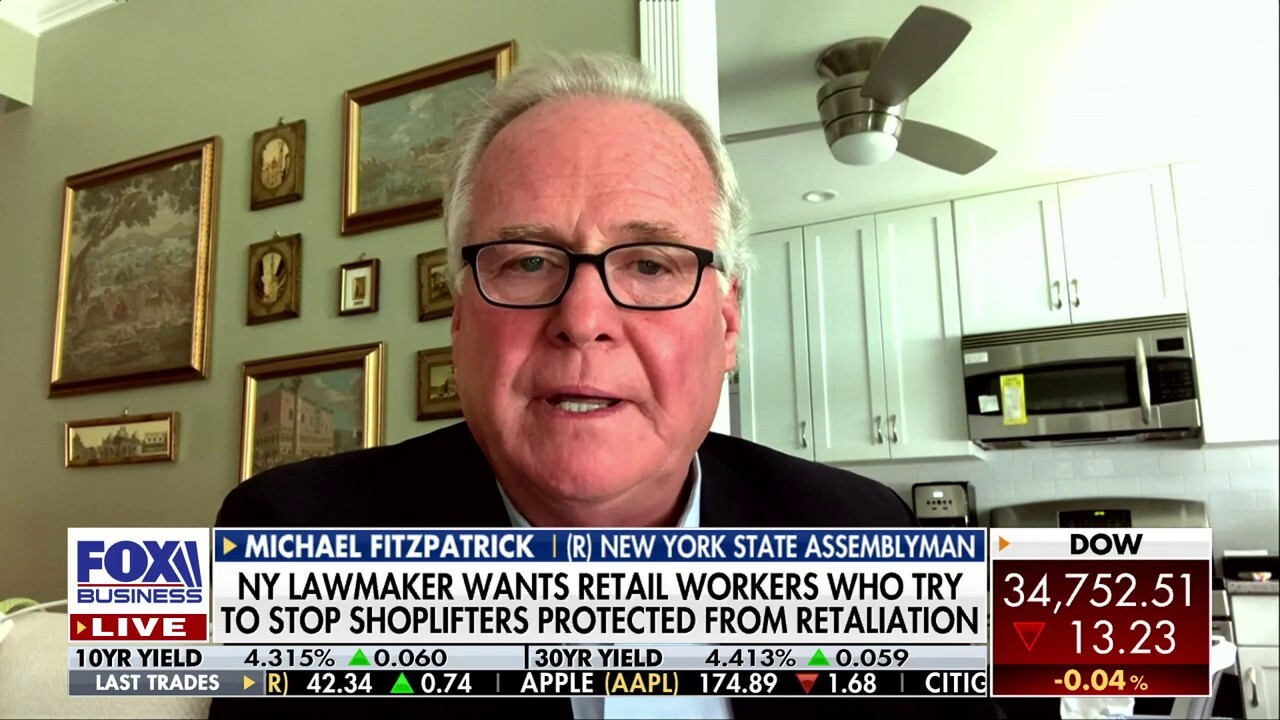 New York State Assemblyman Michael Fitzpatrick discusses his fight against retail theft on 'Cavuto: Coast to Coast.'