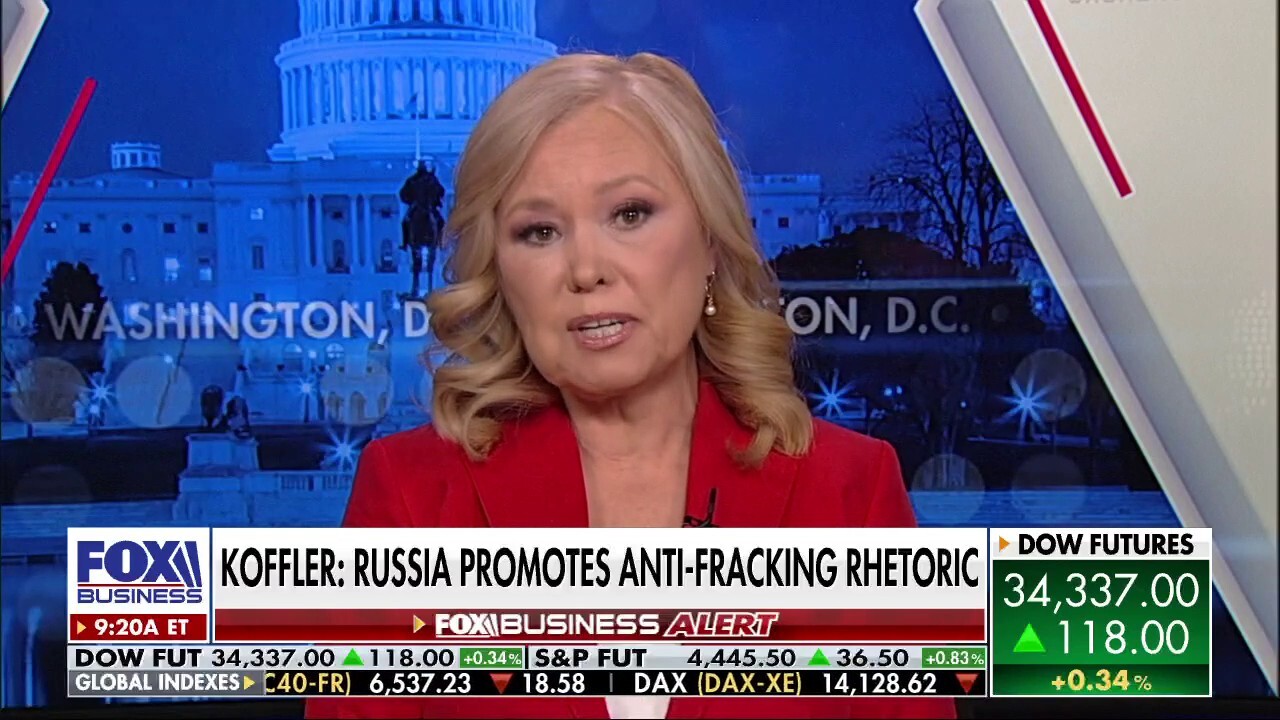 Author and U.S. intelligence expert Rebekah Koffler joins Stuart Varney to discuss whether Russia has infiltrated US environmental groups and influenced America's energy policies. 