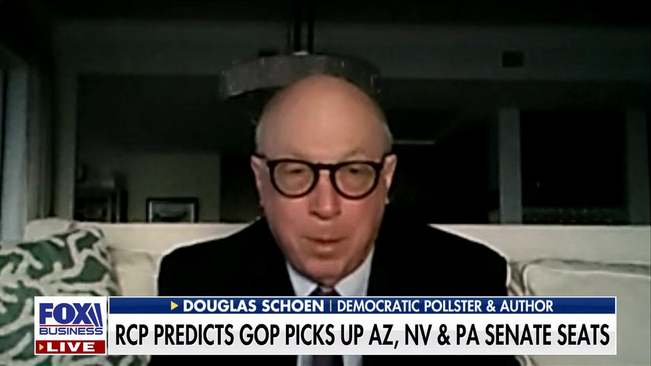 The Democratic brand is 'increasingly toxic': Doug Schoen