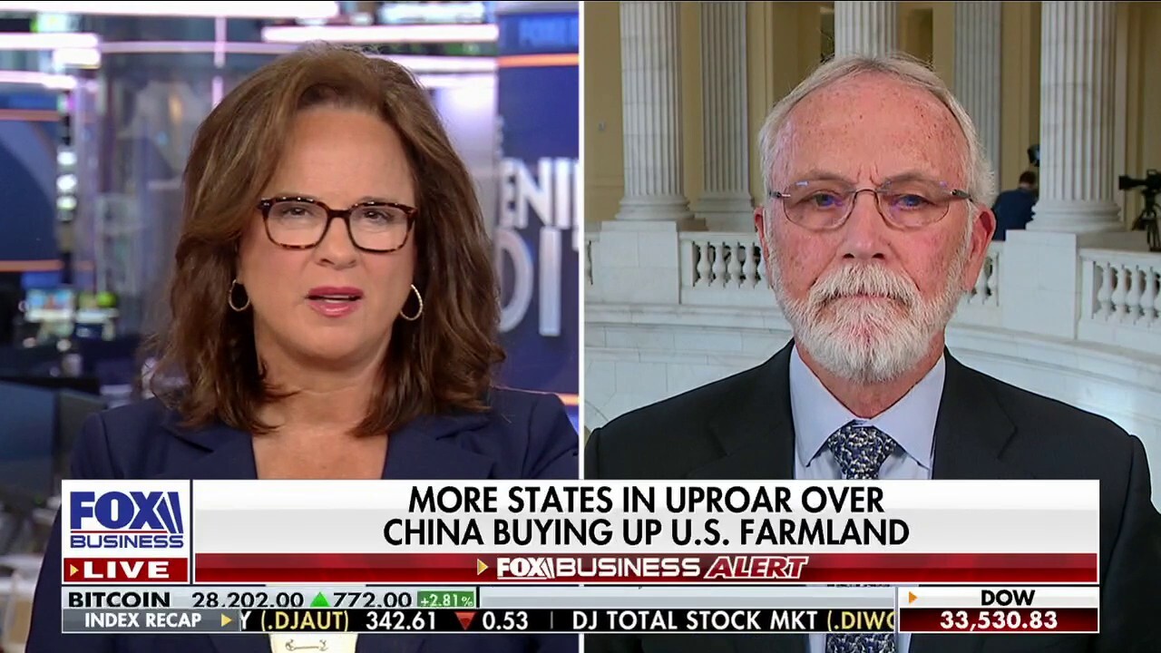 Rep. Dan Newhouse, R-Wash., discusses how states are facing growing concerns over China buying up U.S. farmland on ‘The Evening Edit.’
