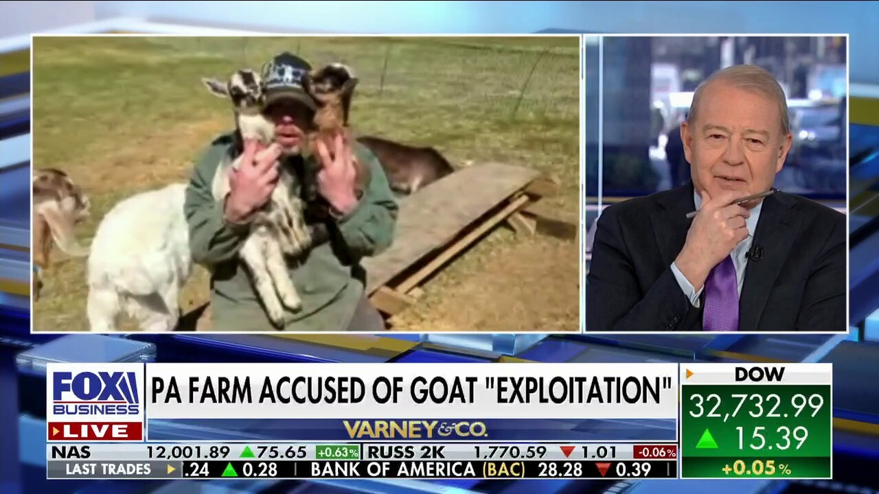 Steinmetz Family Farm’s Justin Steinmetz joined ‘Varney & Co.’ to discuss the recent criticism his farm has faced for their goat-snuggling business. 