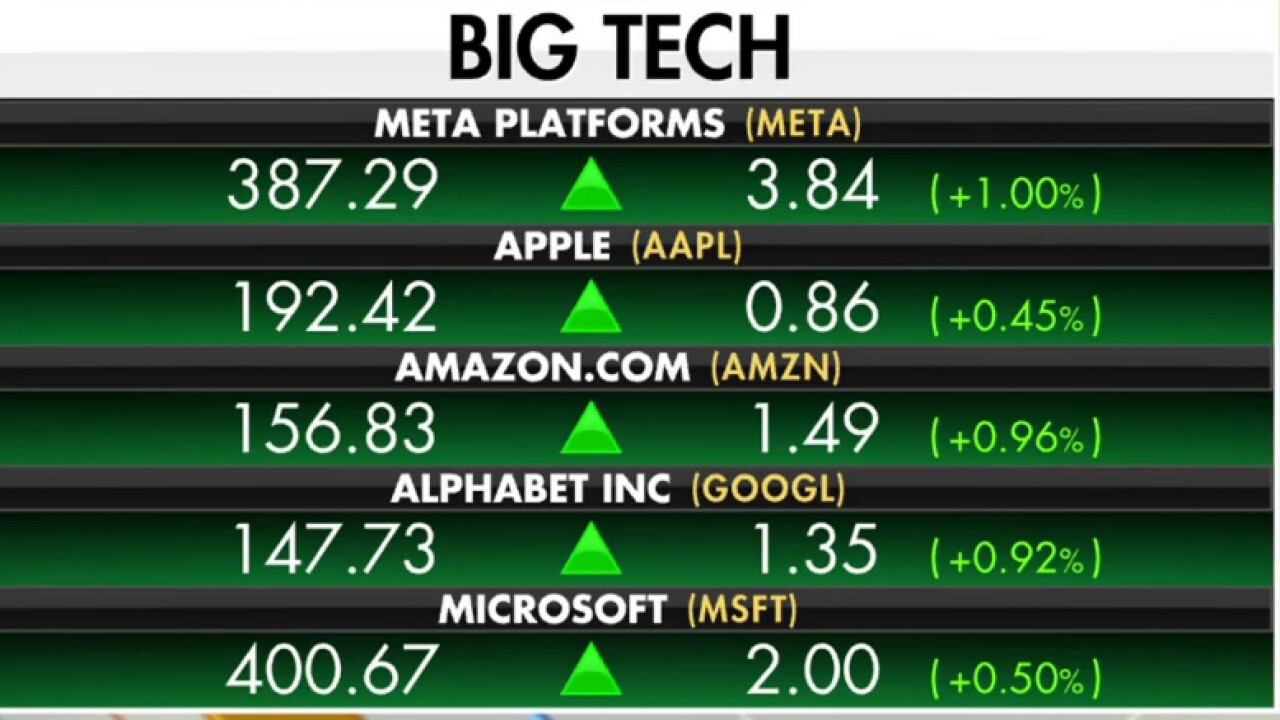 Big Tech still rules profit growth, should have 'a place in your portfolio': Kenny Polcari