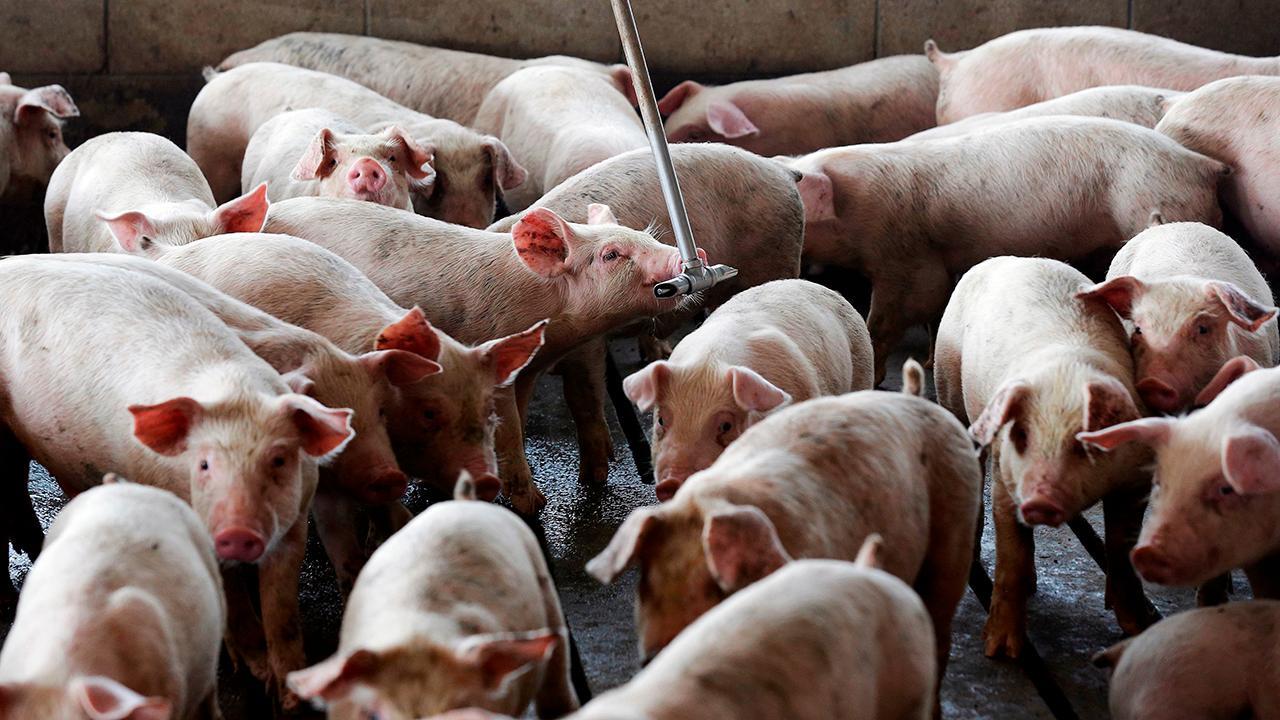Farmers at Iowa State Fair anxious about China trade tensions