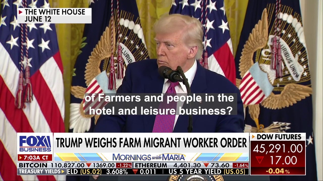 U.S. Agriculture Secretary Brooke Rollins discusses how President Donald Trump's immigration policies and tariffs are affecting America's farmers on 'Mornings with Maria.'