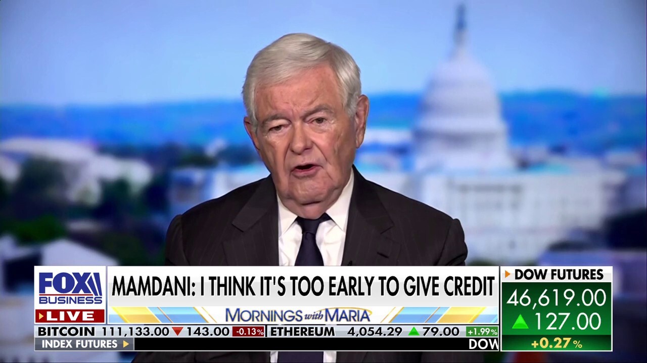 Schumer’s shutdown strategy is ‘bad for the country, bad for the Democratic Party’: Newt Gingrich