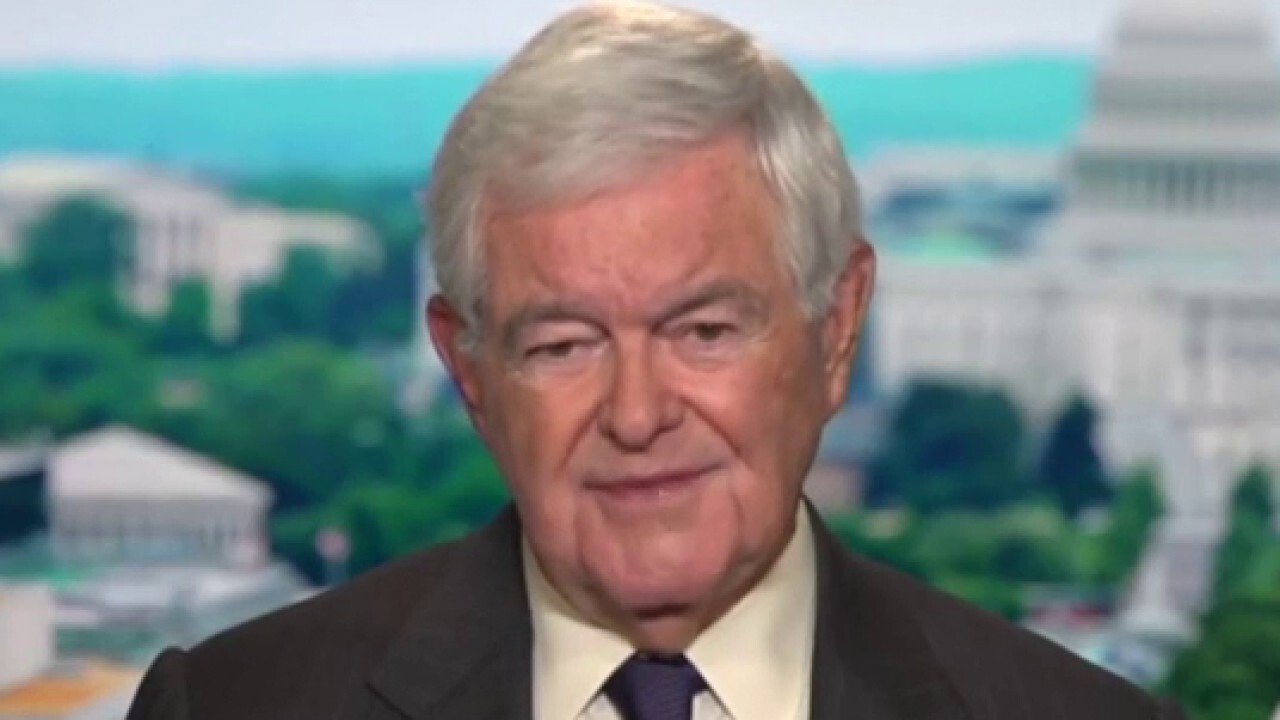  Newt Gingrich: Many leftists dislike the Catholic Church