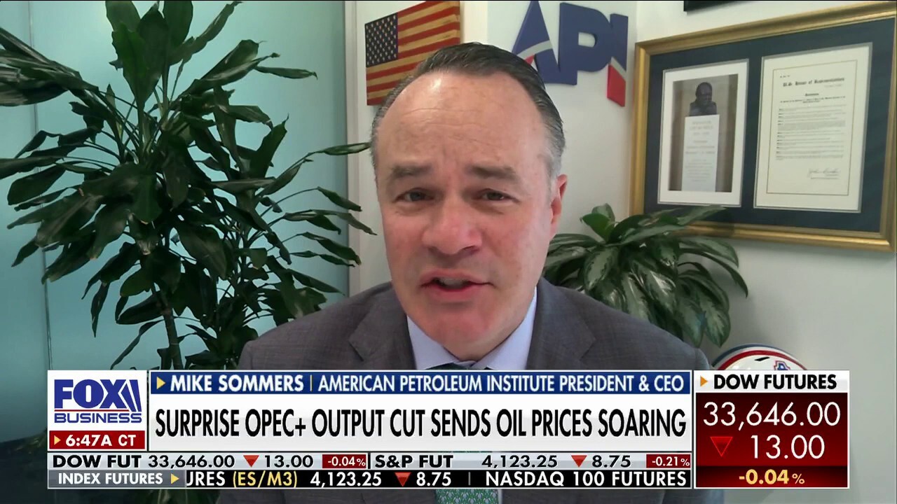 American Petroleum Institute President and CEO Mike Sommers calls for a new five-year oil plan from Joe Biden and exploration of Gulf of Mexico drilling opportunities.
