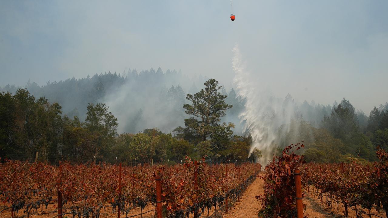 California wineries helping each other after wildfires