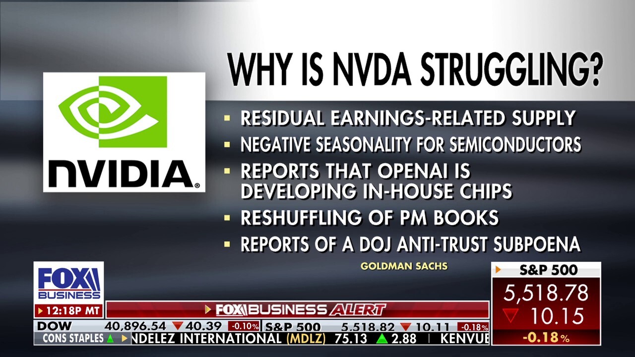 Rob Luna Wealth Academy founder Rob Luna discusses what's behind Nvidia's stock plunge on 'Making Money.'