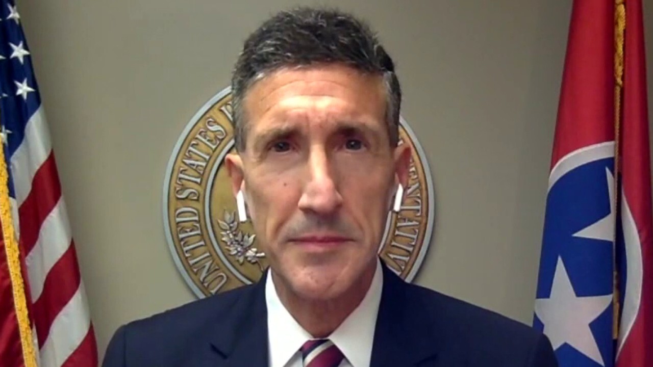 Rep. David Kustoff, R-Tenn., argues 'we don't want' the Internal Revenue Service looking at bank accounts over $600.