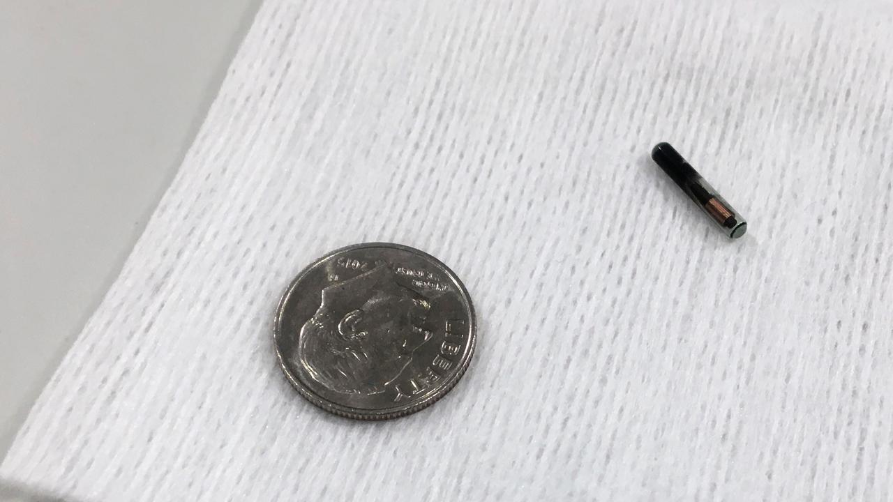 Employee microchip implants raising privacy concerns?