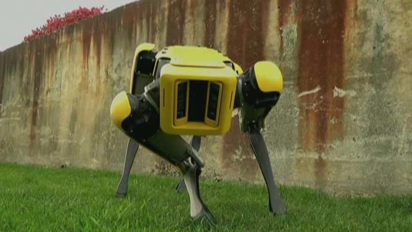 Robots can be used as a weapon of mass destruction: Cybersecurity expert