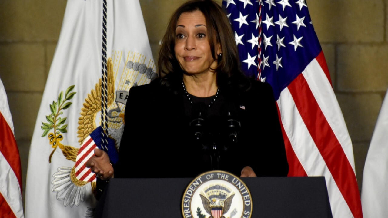 White House using VP Harris task force to control gender ideology narrative: Joel Berry