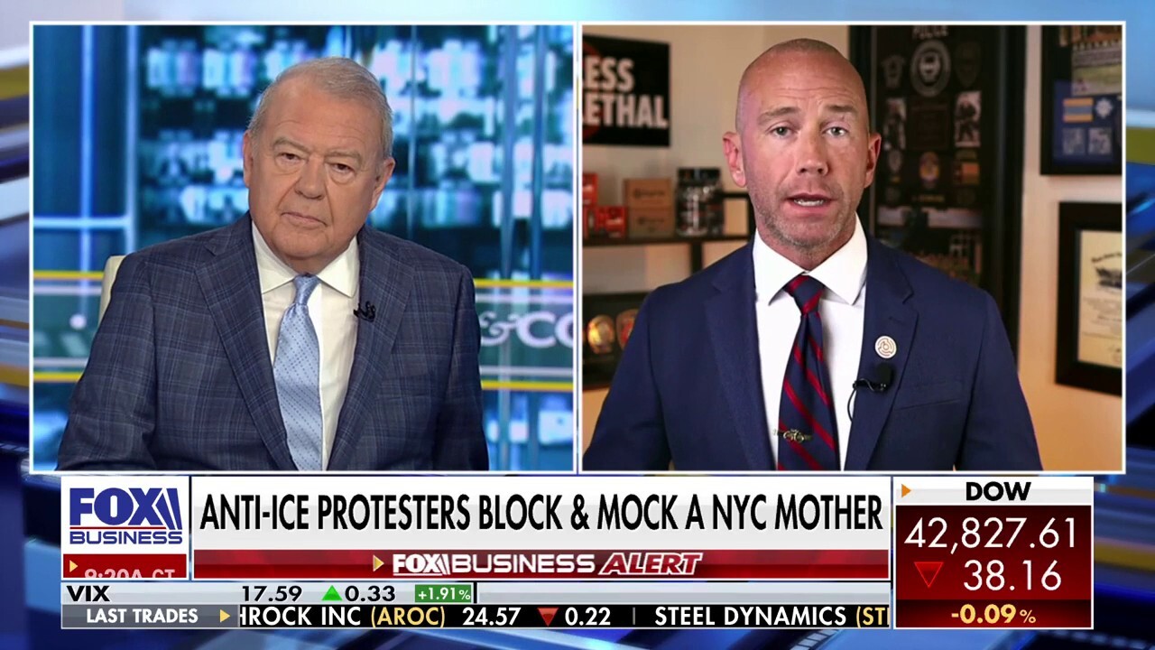 New Yorker furious over anti-ICE protestors taunting her for trying to get to work