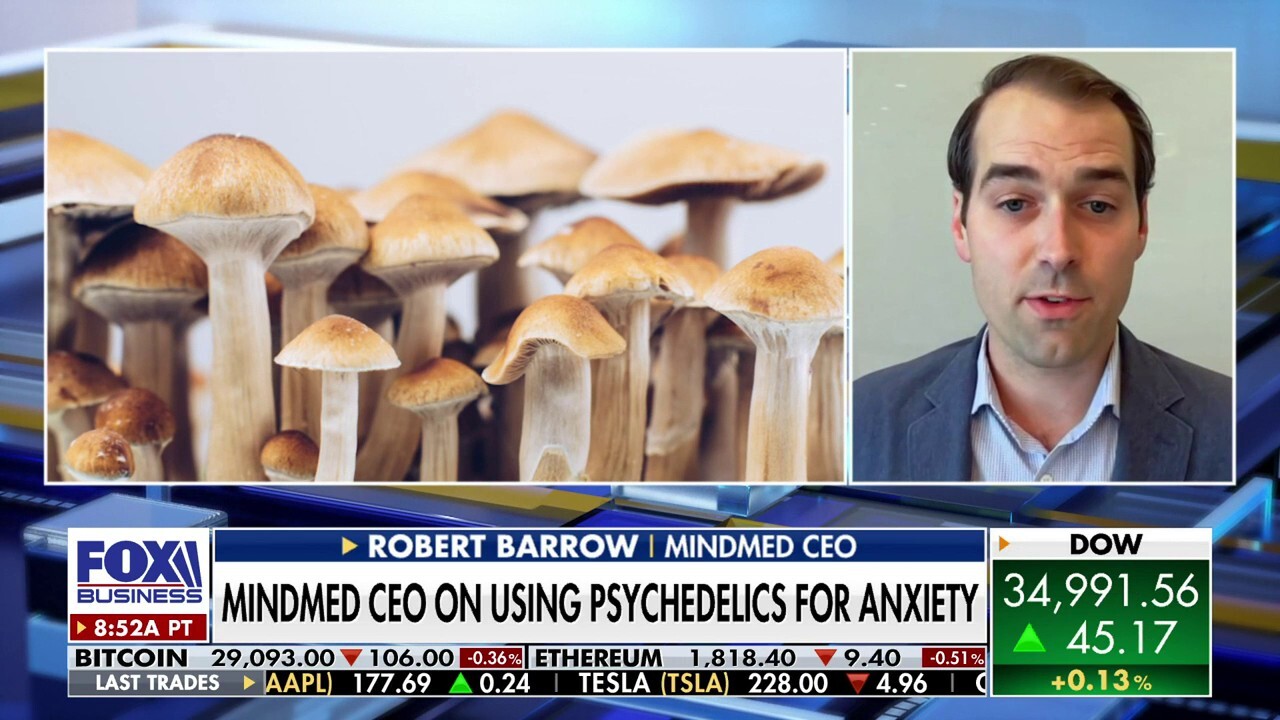 Psychedelics show 'enormous promise' in mental health treatment: Robert Barrow